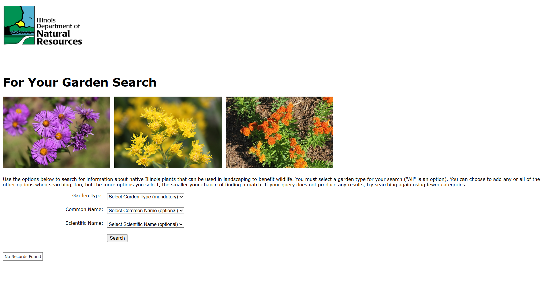 Image of a website with pictures of three varieties of flowers and three search fields. The fields are Garden Type, Common Name, and Scientific Name. This site has the logo for the Illinois Department of Natural Resources at the top.